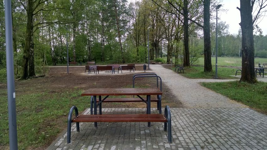 Majówka w plenerze? Jak najbardziej! Pniowiec w Rybniku jeszcze piękniejszy