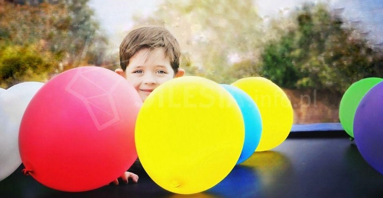 (fot. zory.com.pl)