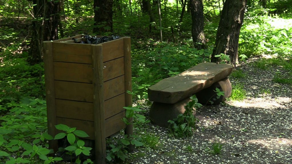 Sosnowiec ma pomysł na Park Tysiąclecia. To będzie miejsce pełne rodzimej przyrody!