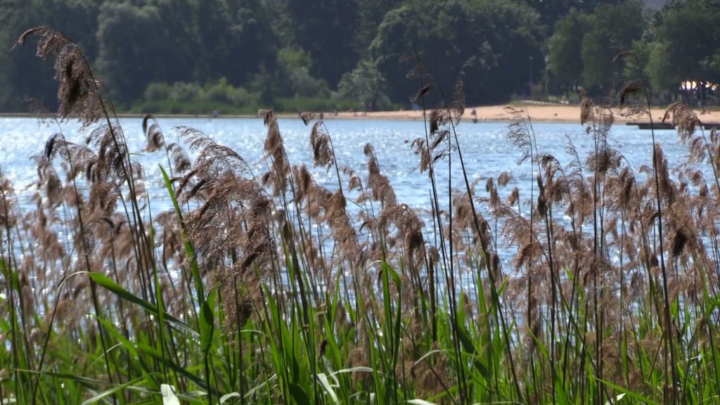 Dąbrowa Górnicza: Tragiczny finał poszukiwań w Pogorii III. 18-latek nie żyje