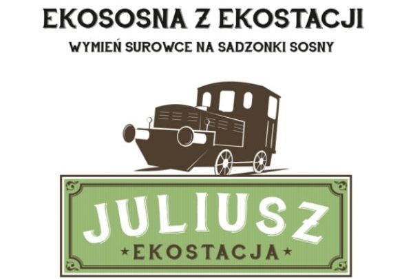 Ekososna w Sosnowcu. Przynieś śmieci, weź sobie drzewo