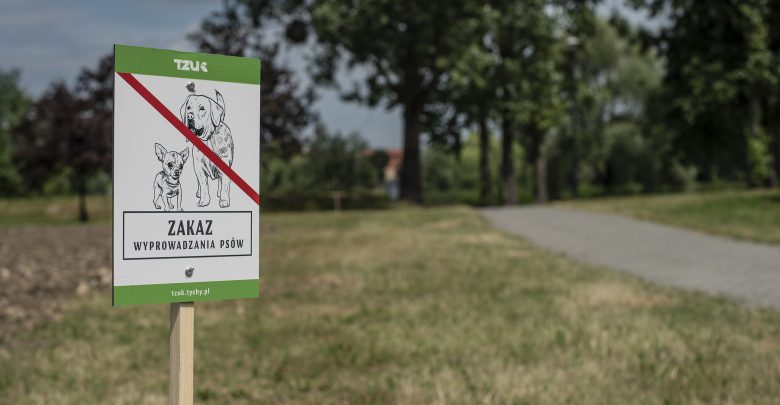Tychy: Miasto oznaczyło parki. Pojawiła się, m.in. "łąka miododajna" i "łąka antysmogowa" (fot. Kamil Peszat)