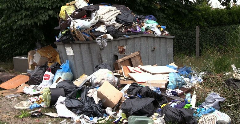 Ruda Śląska: Ogródki działkowe zalewa fala śmieci! To wina działkowców?