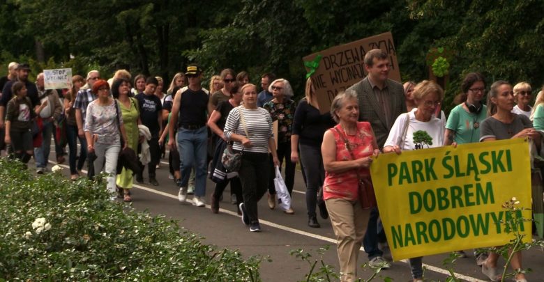 Nie chcą wycinki drzew. Milczący marsz w Parku Śląskim