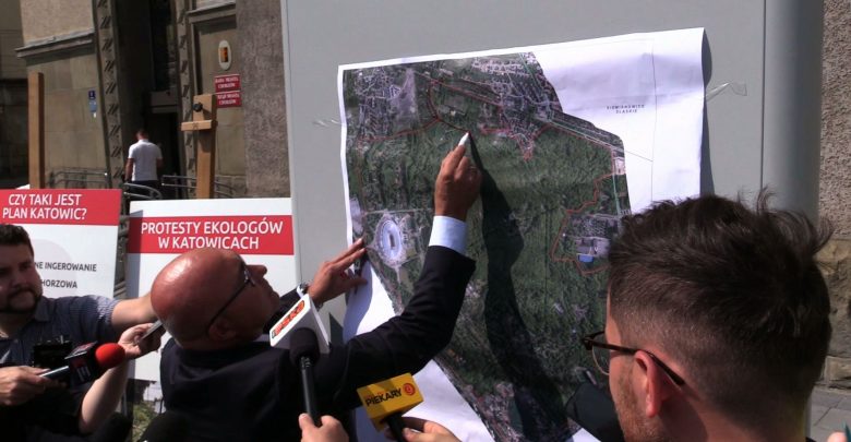 Wycinka drzew przy Parku Śląskim. Chorzów wymieni działki z inwestorem? Miasto: nie mamy zamiaru!