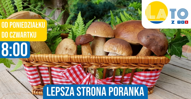 Sezon grzybowy (fot. pixabay.com)