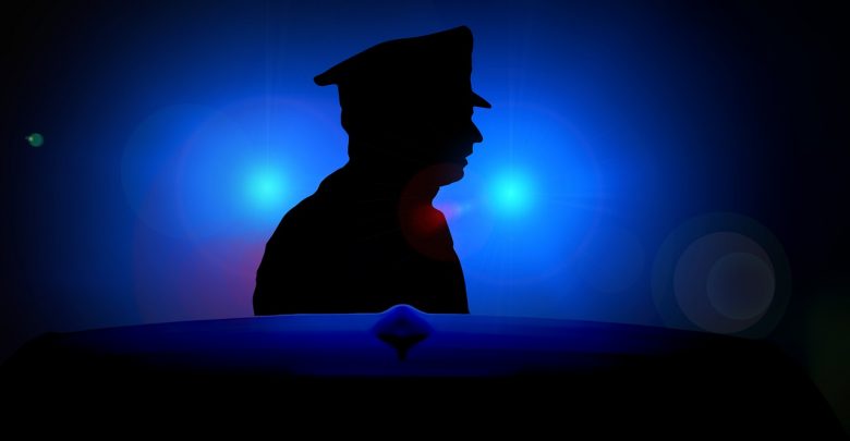Śląskie: Przypał sezonu? Wezwała policję do mieszkania. Zapomniała o narkotykach ;-)fot.poglądowe - pixabay.com)