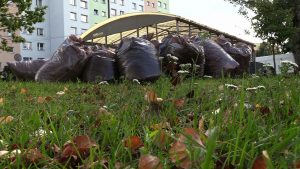 Kubły na odpady biodegradowalne są za małe - mówią mieszkańcy Jaworzna i proszą o większe