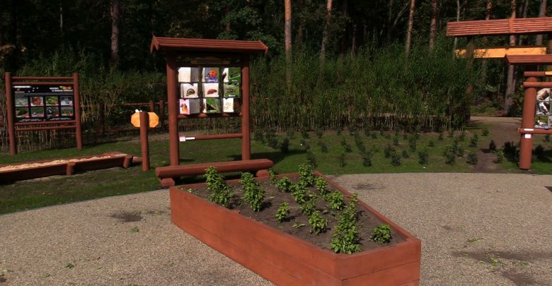 Śląskie: To się w głowie nie mieści! Kretyni zniszczyli park jeszcze przed jego otwarciem!