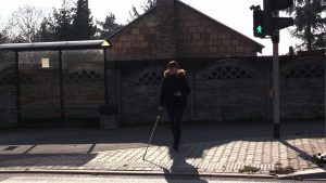Chorzów. Przejście przez ulicę Siemianowicką. To pierwsze takie przejście dla pieszych w Polsce. Dlaczego?