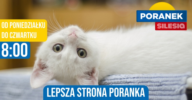 (fot. pixabay.com)