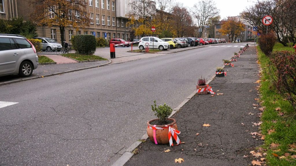 Katowice: Mieszkańcy Koszutki walczą z dzikim parkowaniem i stawiają klomby z roślinami!