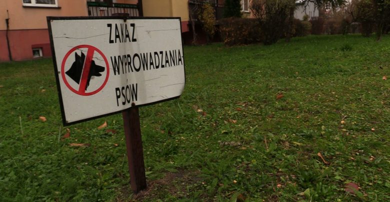 Gliwice: Spółdzielnia mieszkaniowa wprowadza zakaz wyprowadzania psów! Czy to legalne?
