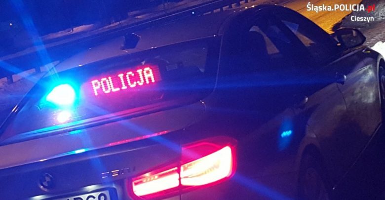 Fałszywa córka zatrzymana. Wspólna akcja policji z Cieszyna i Kłodzka