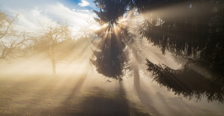 Gęsta mgła nad Śląskiem. IMGW wydało ostrzeżenie pierwszego stopnia. Prawdopodobne utrudnienia w ruchu drogowym (źródło: pixabay.com)