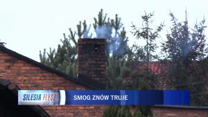 -Wciąż niestety tak jest, że sąsiad sąsiadowi wilkiem i sąsiad sąsiada truje - podkreśla Agnieszka Skupień, rzecznik prasowy UM w Rybniku.