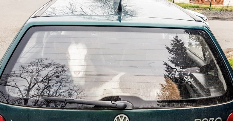 Pijany kierowca, poszukiwany pasażer, w bagażniku koza Frania! (fot.policja)