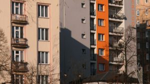 Wojna totalna, ale naturalna. Sosnowiec chce unicestwić komary jerzykami