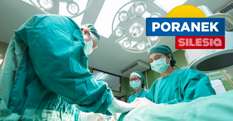 Transplantacja (fot. pixabay.com)