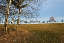 Powiedzenie "w marcu jak w garncu" sprawdzi się w najbliższych dniach. Pogoda na niedzielę zapowiada się wietrznie. IMGW wydał ostrzeżenia dla południa kraju (fot.poglądowe/www.pixabay.com)