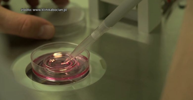 Sosnowiec podsumowuje 3 lata programu in vitro. Ma być nadal kontynuowany