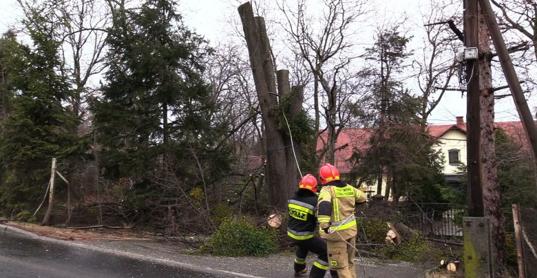 Mocny wiatr dał się we znaki mieszkańcom powiatu bielskiego wczoraj późnym wieczorem. Przez całą noc siał spustoszenie w regionie