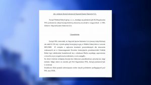 Zostały tylko dwa mecze. Obydwa automatycznie zakończą się walkowerem, bo zarząd Polskiej Hokej Ligi zadecydował, że licencja zostanie zawieszon