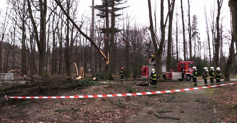 Gwałtowne wichury przeszły przez woj. śląskie. Strażacy wyjeżdżali do zdarzeń blisko 600 razy