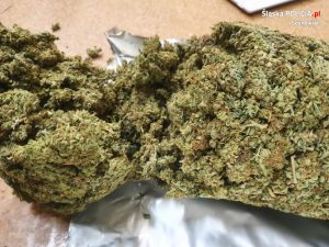Kryminalni zabezpieczyli łącznie blisko 2 kg suszu marihuany i amfetaminę, której ilość wystarczyłaby do przygotowania ponad 4350 porcji narkotyku (fot.KMP Sosnowiec)
