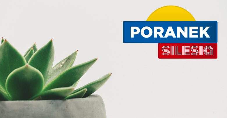 (fot. pixabay.com)