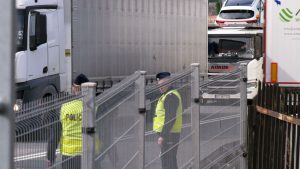 Płynny wjazd do Cieszyna możliwy jest lokalnymi drogami. Na drodze ekspresowej S52 Bielsko-Biała – Cieszyn w kierunku granicy ciągnął się sznur samochodów