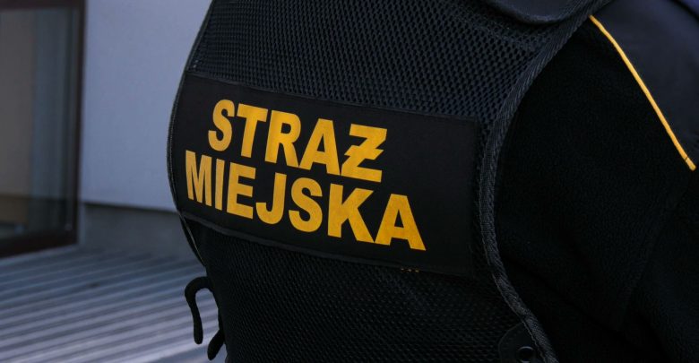 Rybnik: Straż miejska kontroluje posesje i wlepia mandaty