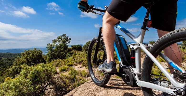 Rowery elektryczne Haibike - dlaczego warto? (źródło foto: fototapeta24.pl)