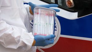 Nie wykluczamy, że jeżeli będą takie potrzeby to uruchomimy więcej wymazobusów na terenie miasta Katowice - mówi Ewa Lipka, rzecznik prasowy UM Katowice