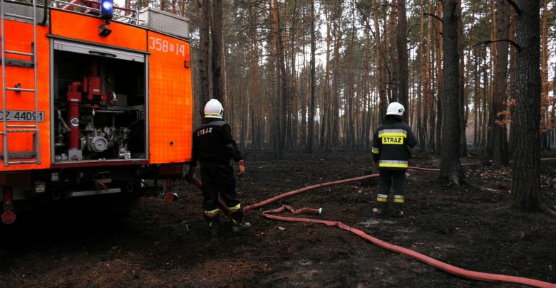 Śląskie: Strażacy dogaszają ogromny pożar lasów pod Częstochową. Straty ogromne!