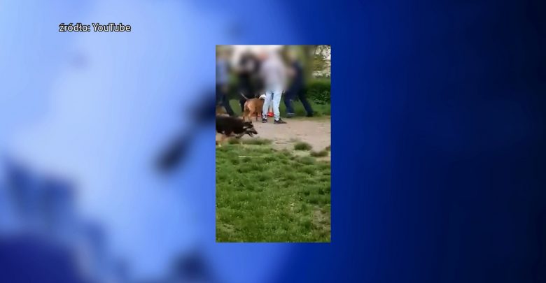 Katowice: Szarpanina z policją w Ligocie. Są NOWE FAKTY w tej sprawie