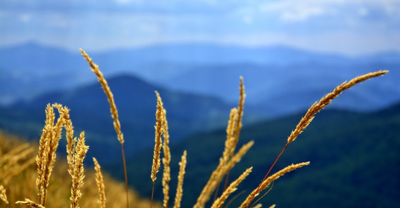 A może rzucić wszystko i wyjechać w Bieszczady? Zapytał Piast Gliwice i wyjechał w Bieszczady (fot.poglądowe - pixabay.com)