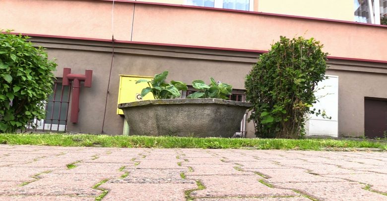 W tych donicach w Katowicach powstaną łąki kwietne. Wystarczy, że zaadoptują je mieszkańcy