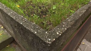 W tych donicach w Katowicach powstaną łąki kwietne. Wystarczy, że zaadoptują je mieszkańcy