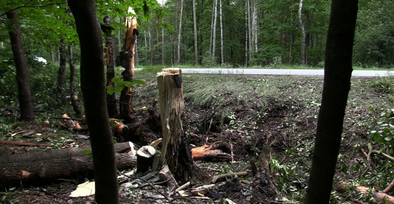 Katowice: Skoszone drzewa i BMW rozerwane na strzępy! Koszmarny wypadek na Beskidzkiej!
