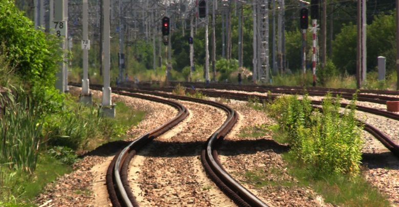 Wciąż do trasy przebiegu trasy uwagi mają władze Śląskiego Ogrodu Botanicznego