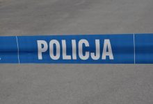 Kierowca skody zderzył się z łosiem. Nie żyje pasażer. 35-latek zginął na miejscu