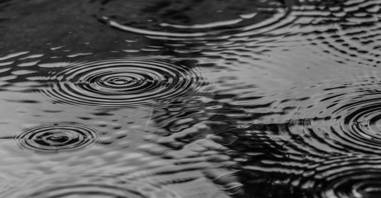Duża i mała retencja, czyli walka ze zmianami klimatu w Katowicach (fot.poglądowe/www.pixabay.com)