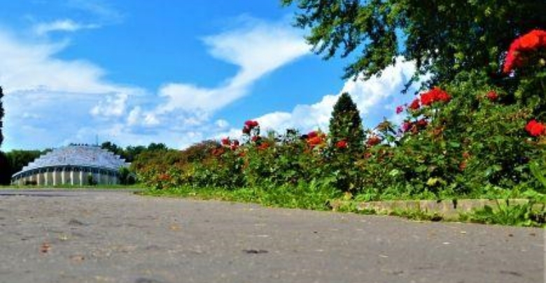 Park Śląski. Nowoczesne nawierzchnie Alei Różanej (fot. silesia.info.pl)