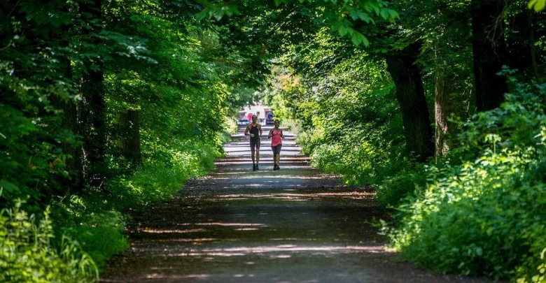Kolejny Rudzki Półmaraton Industrialny za nami! (fot. silesia.info.pl)