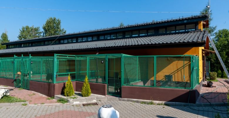 Bytom: Zielona energia w miechowickim schronisku (fot.UM Bytom)