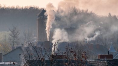 Rybnik: Dziś ruszył nabór wniosków do programu "Stop Smog" (fot.Polski Alarm Smogowy)