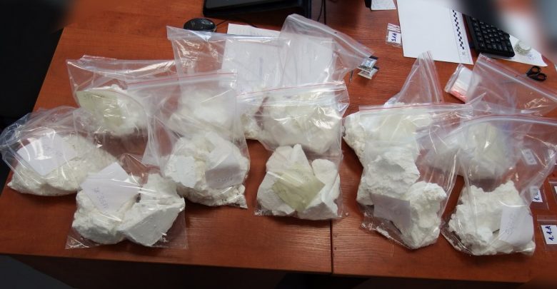 Tychy: 12 kg amfetaminy w ogródku działkowym. Policja zatrzymała kiboli (fot.Śląska Policja)