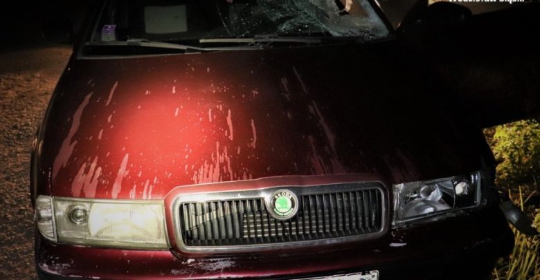 Śląskie: Potrącił 15-latkę i uciekł. Grozi mu 12 lat więzienia (fot.Śląska Policja)