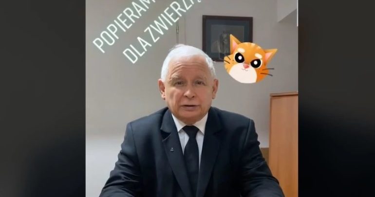 Jarosław Kaczyński na TikToku! Rzucił wyzwanie Mateuszowi Morawieckiemu i Krzysztofowi Sobolewskiemu